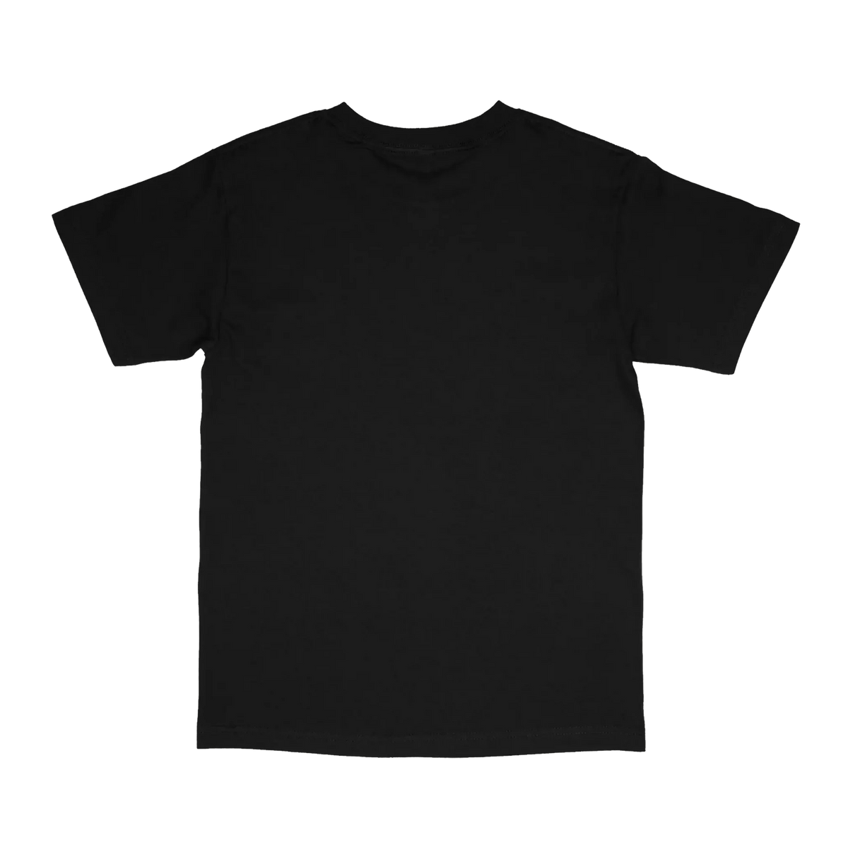 Streetwear Heavyweight Screen Print Package- American Apparel 1301